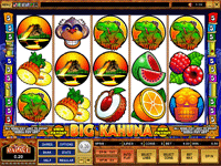 microgaming 9 line slots