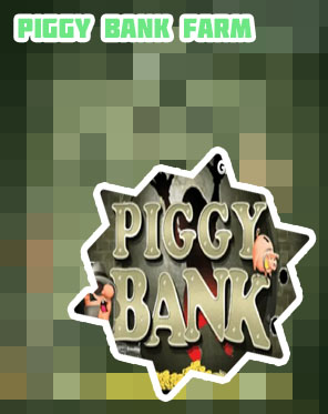 Piggy bank slot machine