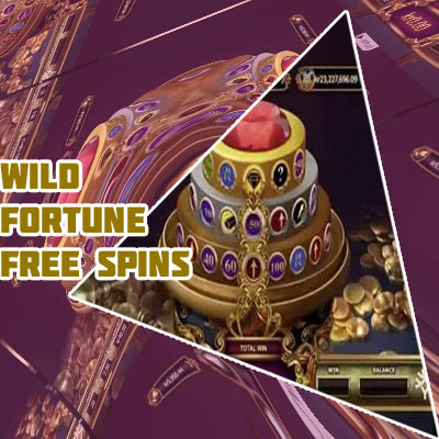 Wild fortune deposit bonus