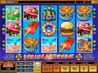 microgaming 9 line slots